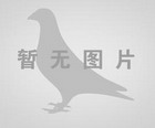 深耕市场，共话未来：上海佳士特润滑科技团队走访宿州、淮北老客户